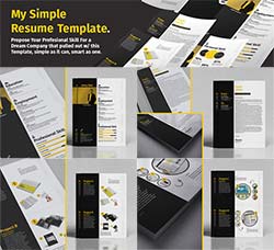 indesign模板－清爽的黑黄色个人简历模板：Simple Resume Template